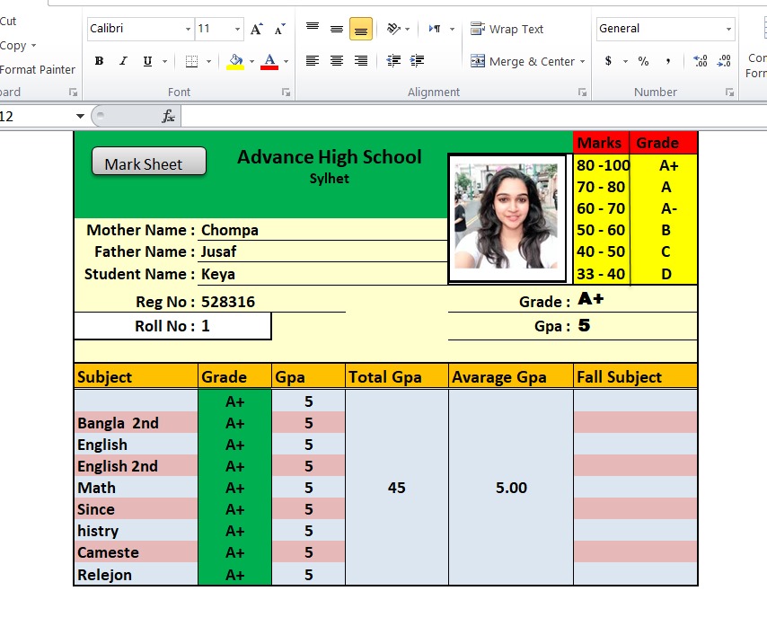 School Mark Sheet
